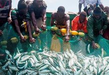 MEILLEURE GESTION DE LA PECHE ET DE L’ARTISANAT : LE PROJET WISE VEUT MIEUX OUTILLER LES MOYENS ET LA SÉCURITÉ