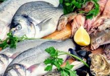 RARETÉ DES PRODUITS HALIEUTIQUES Pêcheurs et vendeurs déplorent le manque d’approvisionnement de carburant et la pêche illégale