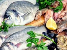 RARETÉ DES PRODUITS HALIEUTIQUES Pêcheurs et vendeurs déplorent le manque d’approvisionnement de carburant et la pêche illégale