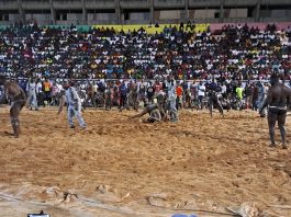 Suivez en direct le gala de lutte de « ThianG ThianG » production a iba Mar Diop..