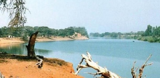 137b542f797fb64adc6bf270299817352de74f92