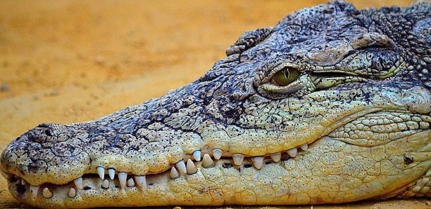 39596ef01ccbcc60c7a012370aae6f912b8f92b9