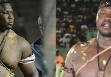 Tapha Tine/ Bombardier: Le combat programmé en janvier ou février 2023