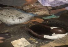 Lutte contre le débordement des eaux pluviales: L’ONAS victime de nouvelles perturbations