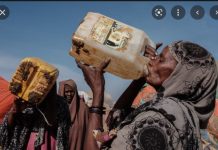 Une personne meurt de faim dans le monde toutes les quatre secondes