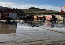 Plusieurs morts dans de violentes intempéries en Italie