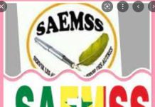 5e Congrès du SAEMSS: El Hadj Malick Youm Plébiscité comme secrétaire général