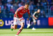 Stade Brestois : Commotion cérébrale pour Noah Fadiga, incertain pour l’Equipe Nationale