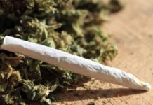 Mort d’une femme émigrée à Kolda: du chanvre indien retrouvé à coté de la victime