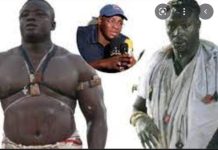 1500 policiers et 1000 gendarmes mobilisés, pour le choc Siteu / Papa Sow ce dimanche