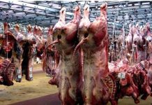 Pour un non-contrôle de la viande : L’Intersyndicale des travailleurs du secteur primaire porte plainte contre le directeur de la Sogas