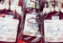 Accident de Kaffrine : Des Sénégalais appellent à une Mobilisation générale pour des dons de sang