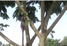 Thiès (Petit Thialy): Un jeune d’environ 30 ans retrouvé mort, pendu à un arbre