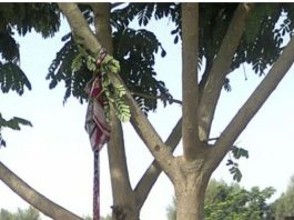 Thiès (Petit Thialy): Un jeune d’environ 30 ans retrouvé mort, pendu à un arbre