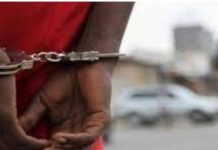 Un fils de Aïda Ndiaye Bada Lô tue son neveu à Dieuppeul