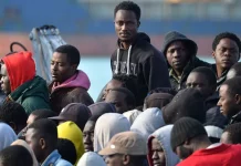 De retour au bercail à Kolda,des jeunes migrants du sud se sont lancés dans l’agriculture et l’élevage…sur ce, ils sollicitent un accompagnement de l’Etat et des partenaires techniques et financiers, en vue de faciliter leur réinsertion économique.