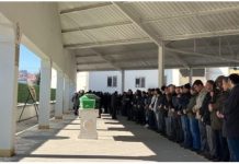 Séismes en Turquie : « J’ai perdu mon père, mon oncle et ma grand-mère »