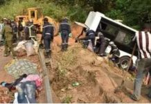 Axe Dahra – Linguère : Un «Wopouya» se renverse et fait 2 blessés graves