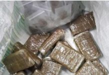 Lutte contre le trafic de drogue: 35 kg de chanvre Indien saisis par la gendarmerie de Joal