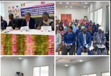 Violences faites aux femmes et aux filles : l’association des juristes Sénégalaises travaille sur la dénonciation