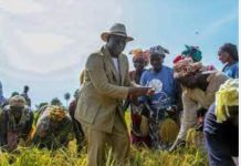 Prière de l’Aïd : Macky Sall annonce la disponibilité d’une enveloppe de 100 milliards F CFA destinée aux agriculteurs