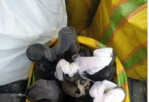 Golf : une Dame impliquée dans un projet de fabrication de cocktails Molotov, arrêtée