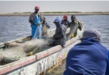 Affaire des pêcheurs de CAYAR et MBORO : Le procès renvoyé jusqu’au 5 Mai