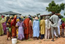 Bakel: Un garçon de 6 ans tué puis jeté en brousse