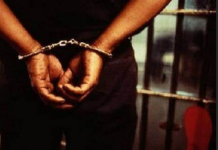 Achat de véhicules: un faux propriétaire escroc deux Agents des Eaux et Forêts d’un montant de 3 millions F CFA