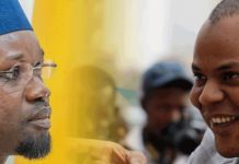 Procès en appel pour diffamation contre Mame Mbaye Niang: Pourquoi Sonko serait-il absent?