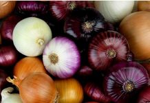 Commune de Niandane: la hausse du prix de l’oignon hante le sommeil des gorgorlous