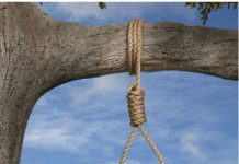 Bambey (Ngoye): Un cultivateur retrouvé pendu à un arbre