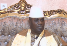Élection présidentielle: Cheikh Abdou Bara Dolly insiste sur la révision des articles 28, 29 et 87