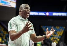BASKET : Tapha Gaye quitte son poste de Directeur technique national