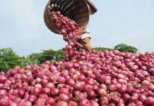 Hausse des prix de l’oignon :Le Directeur de ARM promet le retour à la normale dans une à deux semaines