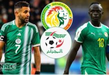 Match amical Sénégal vs Algérie : le sélectionneur des Fennecs défi les lions