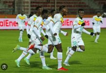 CAN 2023 : Le classement des lions dévoilé