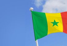 4èmes Championnats du monde : le ministre des sports procédera à la remise du drapeau aux Lions malentendants, ce vendredi