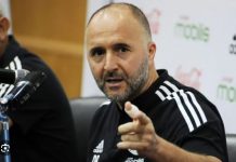 Sénégal-Algérie : Djamel Belmadi veut en tirer des enseignements