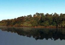 Hivernage: le fleuve Gambie risque de déborder et menacer les bananeraies du fleuve Gouloumbou