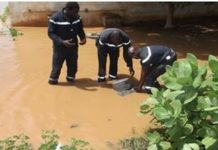 Drame à Koungheul : Un enfant de 12 ans meurt noyé dans un marigot