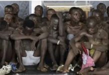 Mauvaises conditions de détention… : des détenus du camp entament une grève de la faim