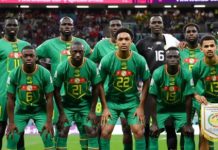 Match Sénégal-Cameroun : la liste des lions sera connue le 06 octobre prochain