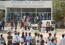 UNIVERSITÉ CHEIKH ANTA DIOP : le directeur du COUD, Maguette Sène annonce la couture du campus pédagogique et du campus social
