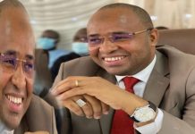 Son Excellence M. Le président de la République du sénégal, la jeunesse bibiste ( de Abdoulaye Bibi Baldé) de kolda vous adresse ses salutations les plus sincères.