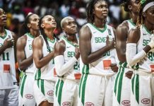 BASKET : le futur sélectionneur des Lionnes sera connu la semaine prochaine