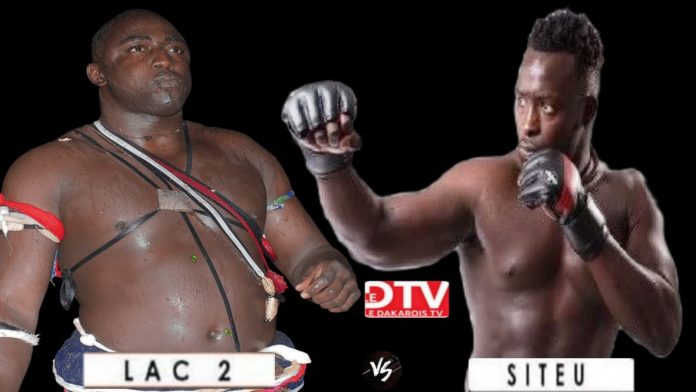 WhatsApp Image 2023-11-18 at 18.55.24