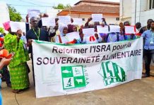 Pour exiger la signature des textes de décrets: le syndicat des travailleurs de l’ISRA annonce des débrayages