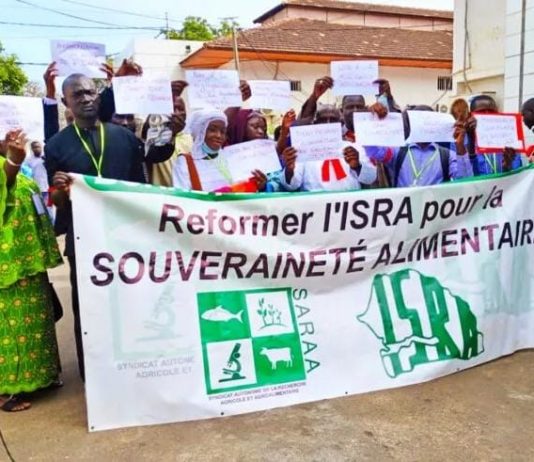 Pour exiger la signature des textes de décrets: le syndicat des travailleurs de l’ISRA annonce des débrayages