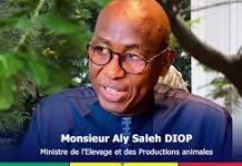 Nécrologie: L’ancien ministre de l’élevage Aly Saleh Diop a perdu son épouse